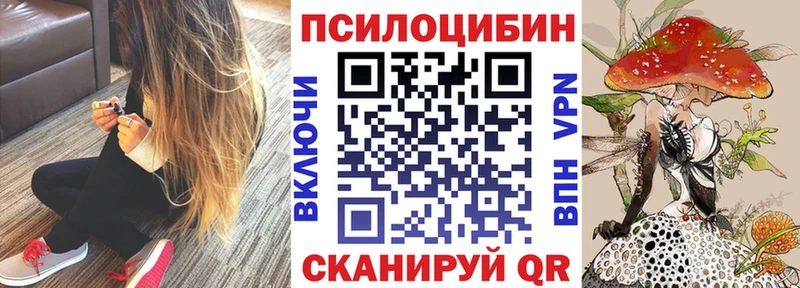 Псилоцибиновые грибы GOLDEN TEACHER  кракен зеркало  Сосновка 