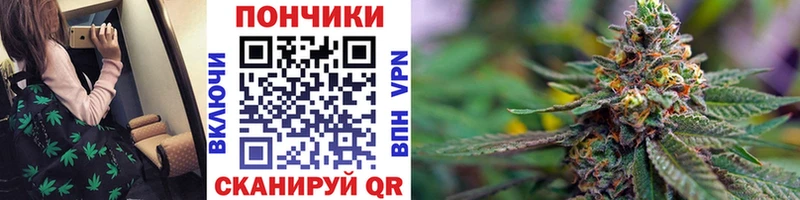Марихуана гибрид  Сосновка 